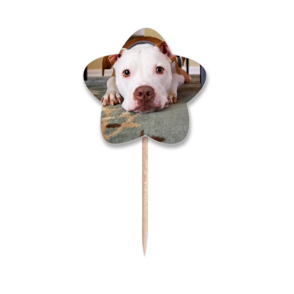 Cure-dents bouledogue blanc avec image d'animal de compagnie pour table