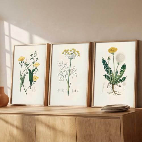 Image of kotart Decorative Aesthetic Botanical Art Home Decoration Painting | Floral Paintings With Frame For Living Room Bed Room Hotel Wall Decor Digital Reprint Set of 3