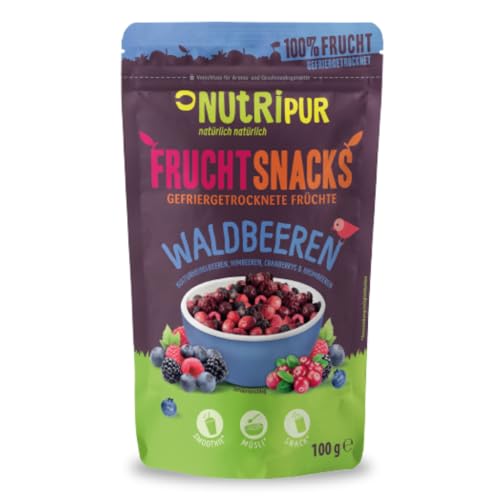 Gefriergetrocknete Waldbeeren: 100g Brombeeren, Heidelbeeren, Cranberries, Himbeeren gefriergetrocknet, ungezuckert – Getrocknete Früchte, Gefriergetrocknete Früchte, Beeren von NutriPur
