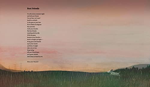 The Proper Way to Meet a Hedgehog and Other How-To Poems - Image 3