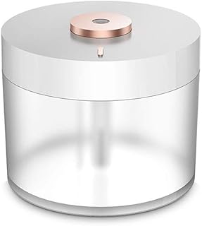 WZHZJ 780ml sans humidificateur d'air 2000mAh Batterie Rechargeable Portable Diffuseur Purificateur d'air Brumisateur (Color : B)
