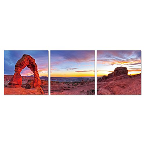 FURINNO Senik Delicate Arch 3 Panel Medium Density Framed Photography