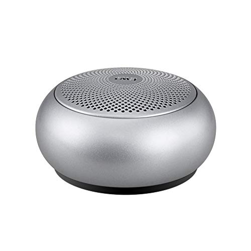 A110 Bluetooth Mini Speakers,Metal Portable Speaker with Hard Travel case Packed, Sound and Enhanced bass