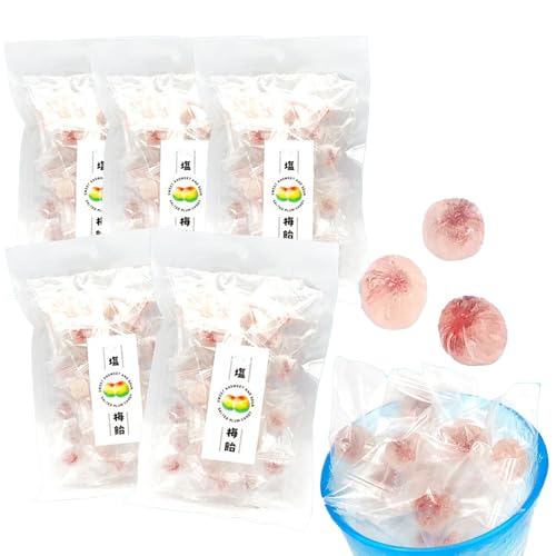 福 福梅ぼし fukuumeboshi 塩梅飴 100g×5袋 キャンディー 熱中症対策 塩分補給 糖分補給 お取り寄せ グルメ