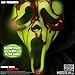 Mezco Living Dead Doll: Scream Bloody Glow-in-The-Dark Ghostface, 10