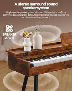 STRICH 88 Key Digital Piano, Hammer-Action Weighted Keyboard, Full Size Desk Cover Electric Piano Keyboard with Stand, 25Wx2 Speakers, Headphones, Three Pedal, SDP-350S(Furniture Style)