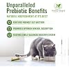 Probiotics Paste for Dogs Prebiotic for Canine, Gut Support, Immune Boost, All Natural with 1 Billion per ML Includes (MOS)+ Beta Glucans + D-Mannose, No Animal by-Products - 30ML Single Tube