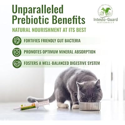 Probiotics Paste for Dogs Prebiotic for Canine, Gut Support, Immune Boost, All Natural with 1 Billion per ML Includes (MOS)+ Beta Glucans + D-Mannose, No Animal by-Products - 30ML Single Tube