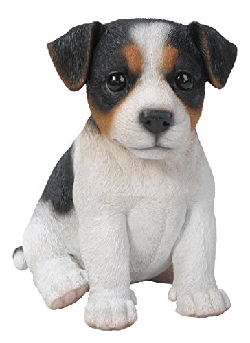 Vivid Arts Pet Pals Jack Russel Puppy - PP-JKTC-F