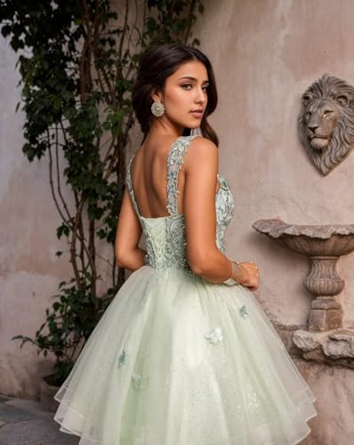 BONOYUER Off The Shoulder Tulle Homecoming Dresses for Teens 3D Butterfly Short Prom Dress Glitter Quinceanera Dress3