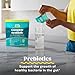 GNC Complete Synbiotic 4-in-1 Digestive Support Powder - Each Servings Contains Prebiotics, Probiotics, Post Biotics, and Glutamine (30 Servings)
