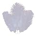 STTQYB 2 in 1 Exquisite Ostrich Feather Tickler and Leather with Whip