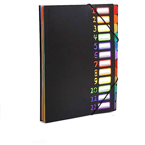Expanding File Organizer 24 Pockets, Accordion Folders Letter Size Hold 240 Sheets, Assorted with Rainbow, Designed for Home, Office and School (Black)