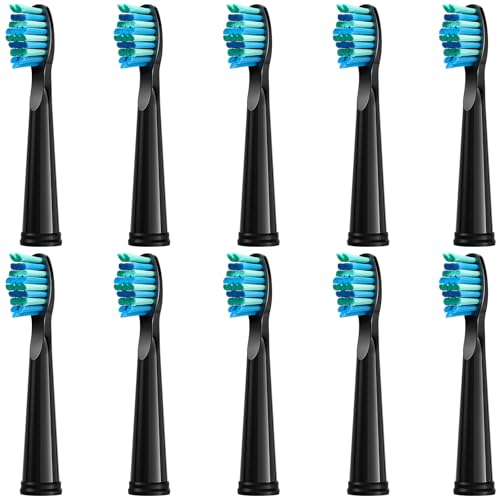 10pc Toothbrush Heads Compatible with Fairywill D7/D8/FW507/508 551/917/959/D1/D3 (Black)