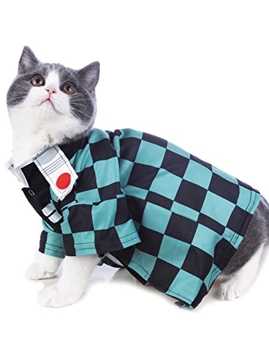 Impoosy Fantasia de gato divertida roupas para animais de estimação gatinho roupas para filhotes de