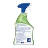 Lysol All Purpose Cleaner with Bleach, 32 Ounce (Pack of 2)