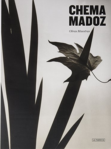 CHEMA MADOZ: OBRAS MAESTRAS CHEMA MADOZ: OBRAS MAESTRAS