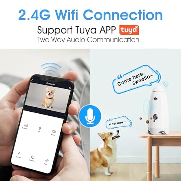 Macchina fotografica del cane con scherzetto