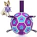 HETOO Hundeball Hundespielzeug Ball mit Griff für Hund Interaktives Schleppen von Krieg Wasser Hundebälle Spielzeug Geburtstagsgeschenk für Mittel/Große Hunde (6 Zoll Lila Blau)