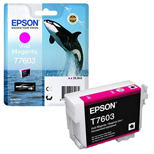 Epson Orque C13T76034010 - vue 5