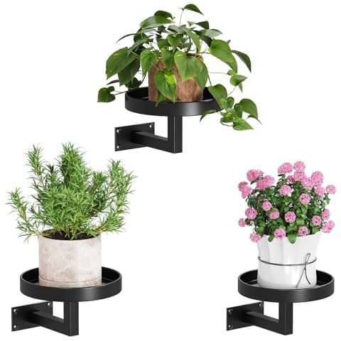 Gezen 3 Pack Wall Plant Holder, Plant Frames Wall Decor, Float Metal Rack for Indoor Plants, Round Display Shelves Hanging Planter Cover