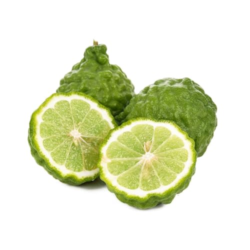 Semillas de lima kaffir - columnares de balcón resistentes en espaldera semillas jardín interior decoración 50pcs