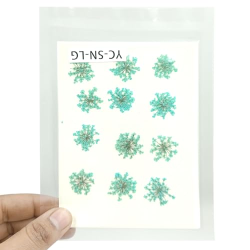 YellowCult Natural Real Dried & Pressed Flowers Sheets for Art Craft - Mixed, Multicolor for Soap, Candle, Journal, DIY, Resin Jewelry, Pendant-[Snowdrop Flower-Light Green]