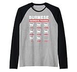 Photo Gallery burmese cat obedience training funny kitten lover maglia con maniche raglan Photo Gallery burmese cat obedience training funny kitten lover maglia con maniche raglan