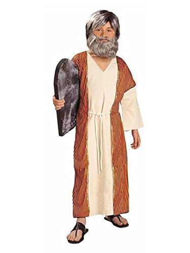 Moses Boy's Costume, Multi-colored, Large