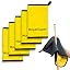 Yellow and Grey -5 pack