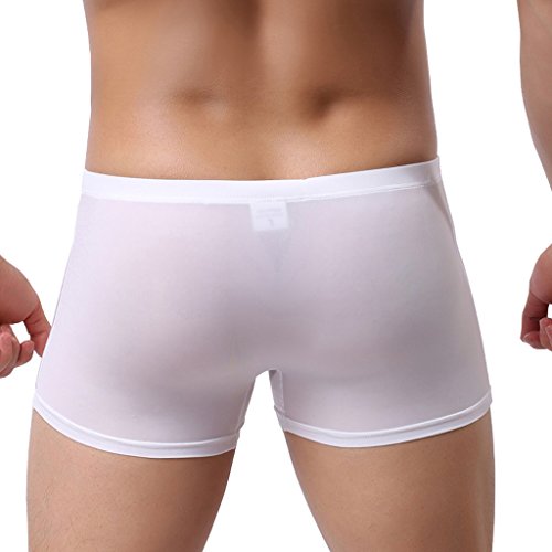 WINDAY Men Briefs Breathable Ice Silk Boxer Bikinis and Briefs N054
