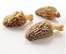 Northwest Wild Foods Dried Morel Mushrooms - Raw Handpicked Sundried High Quality of Pacific Northwest (8oz)