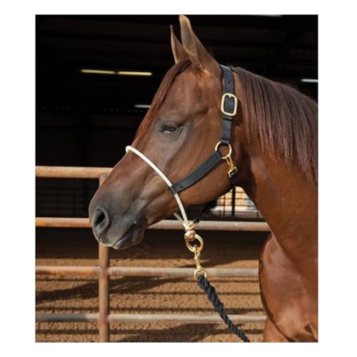 Nailon halter con nariz de cuerda de Professional's Choice 2