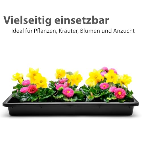 BigDean 2 Stück Pflanzschale 59x39x6 cm ideal als Pflanzwanne, Katzenklo & Ölwanne geeignet – große Kunststoffwanne Made in Germany