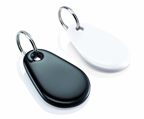 Somfy 2400990 - Lot de 2 badges pour système d'alarme | Compatible Protexiom et Protexial