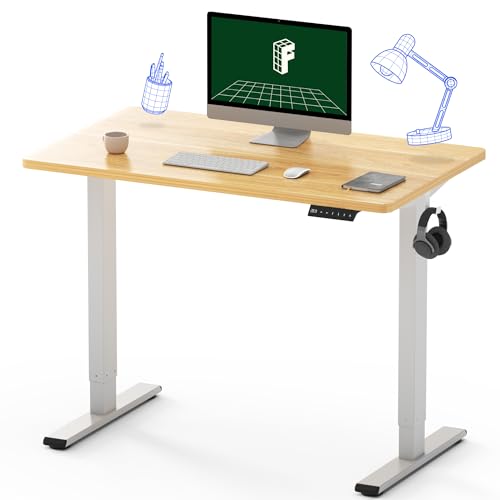 FLEXISPOT EN2 Whole-Piece Standing Desk, 40 x...