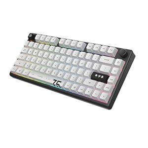 Arbiter Polar 75 – Magnetic Gaming Keyboard – Rapid Trigger w/SOCD Super Tap, CNC Aluminum Frame, Gen 2 Hall Effect Switches, Volume Knob, RGB, Dye-Sub PBT Keycaps – Kitsune Black