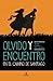 Olvido y encuentro en el Camino de Santiago (Spanish Edition)
