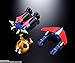 TAMASHII NATIONS - Legend of Daiku-Maryu - GX-100 Gaiking & Daiku Maryu, Bandai Spirits Soul of Chogokin Die-Cast Metal Collectible