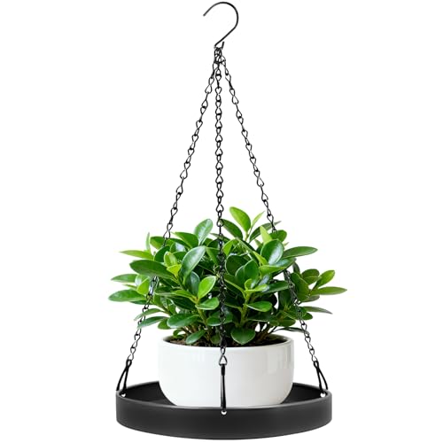 HENAYUK Blumenampel Hängend Innen Außen, Metall Pflanzenaufhänger Hängende Pflanzgefäße aus Metall Pflanzenhalterung Hängetopf für Pflanzen mit Hängekette