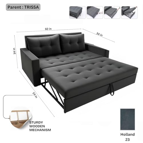 Image of FURNY Tressa 2 Seater Fabric Pull-Out Sofa Cum Bed (Dark Grey) - Premium Velvet Finish - Durable Comfort - Ideal for Living Room