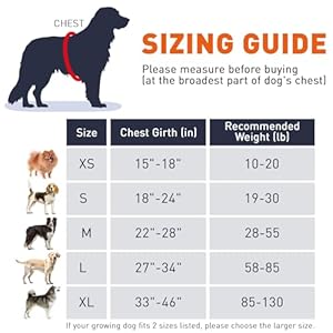 Dogline Dog Harness Reflective Nopull Adjustable Vest with Handle for Walking Training Breathable No  Choke Harness for Small Medium or Large Dogs Room for Patches Girth 2228 in Orange  Cucciolini Doodles Dogline dog harness reflective no pull adjustable vest with handle for walking training breathable no  choke harness for small medium or large dogs room for patches girth 22 28 in orange   cucciolini doodles