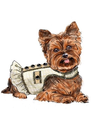 SIMPLICITY Schnittmuster SS9970A Hundemäntel A (XXS-XS-S-M)