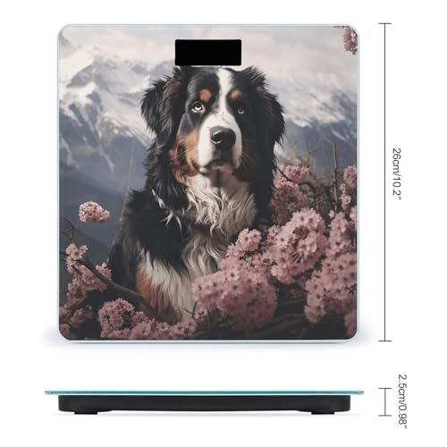 Báscula digital precisión alta Bernese Mountain Dog miniatura 2