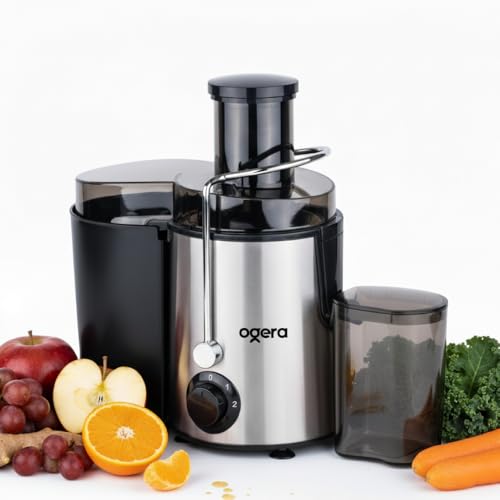 Juicer Machine 450W | Power Juice Extractor for Fruits & Vegetables | Dual Speed Juicer | Stainless Steel Body | Fast Juice Maker | OG1650JE Silver