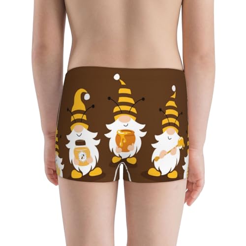 Boys' Cotton Boxer Brief Soft Underwear-Gnomes With Honey3