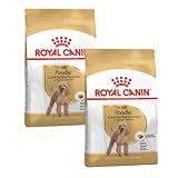 Poodle Adult | Trockenfutter für Hunde | 2 x 500 g | Für Pudel ab 10. Monat