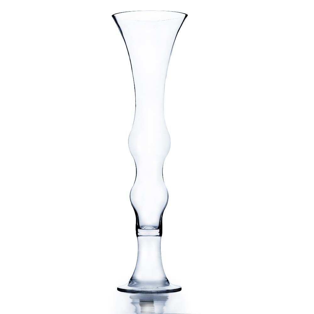 Tall Glass Vase① Amazon.com: WGV Tall Glass Vase, Width 5