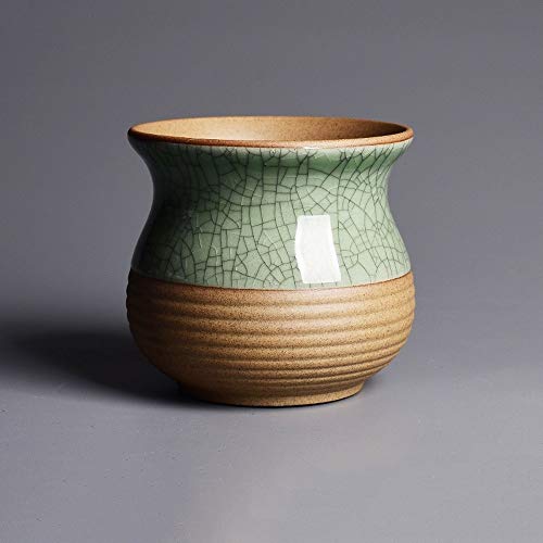 Pot de fleur pour plantes succulentes charnues petit cactus et maison