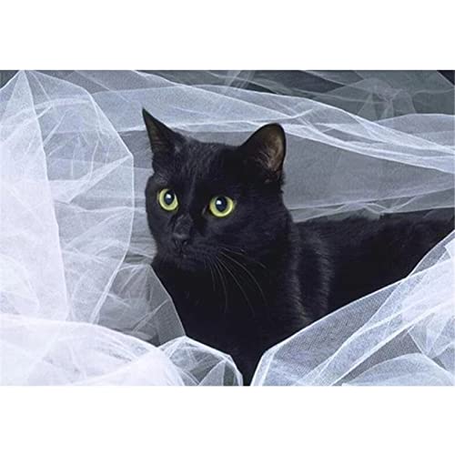 5D Diamond Painting, Hochzeit Schwarze Katze 20x30cm DIY 5D Diamant Painting Bilder Kinder Erwachsene groß, Diamond Painting Set Diamant Malerei Kits Mosaikherstellung für Home Wand Décor Geschenk